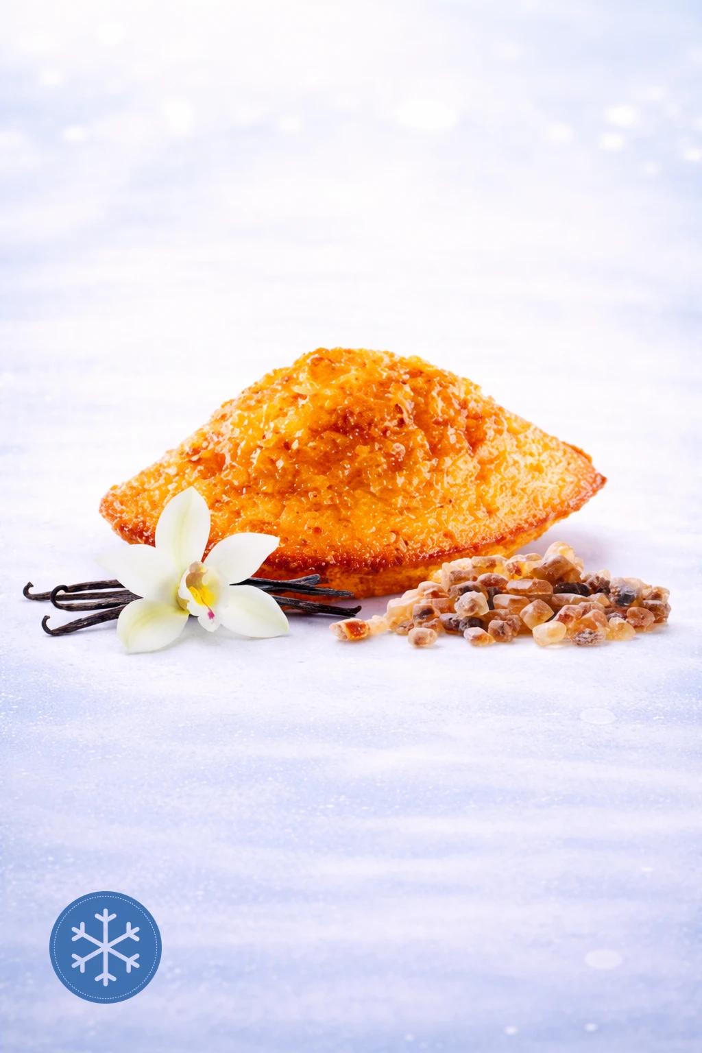 Crunchy vanilla madeleine (45g) (STM41748S) (Cond.70)